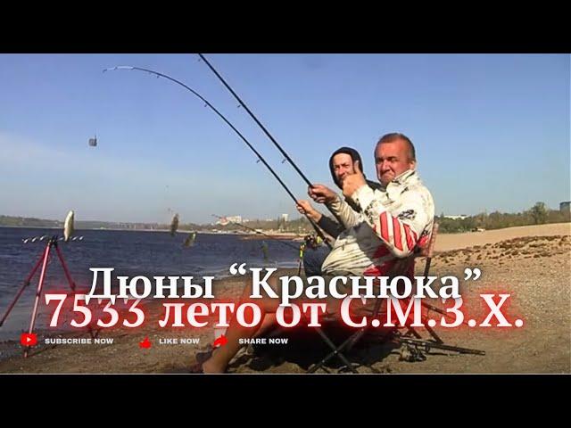 Дюны КРАСНЮКА. Сильный ветер. Рыбы много. Вся штрафная 15.сент.24г.