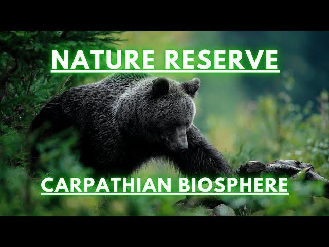 Nature Reseve, Carpathian Biosphere