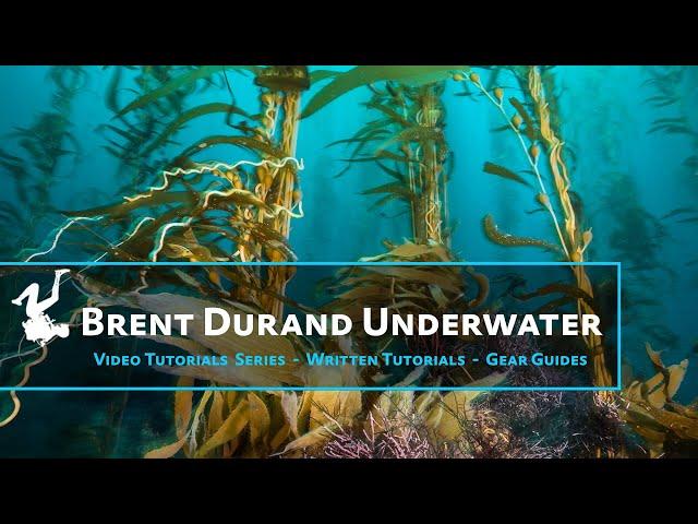 Brent Durand Underwater Photo Tutorials - Trailer