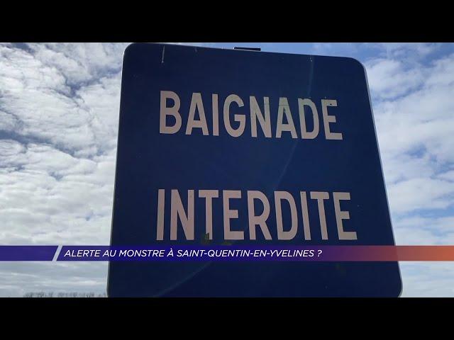 Yvelines | Alerte au monstre à Saint-Quentin-en-Yvelines ?