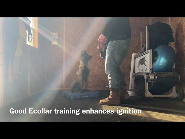 BUILDING PRECISION AND SPEED WITH THE ECOLLAR