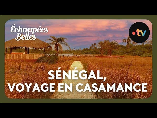 Sénégal, voyage en Casamance - Echappées belles