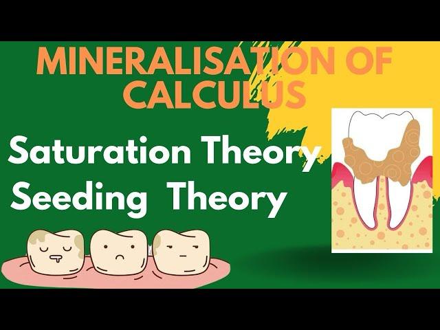 Theories of mineralisation of calculus | Periodontology