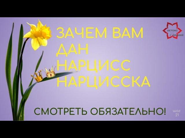 Ваш партнер - нарцисс? Зачем вам дан мужчина - нарцисс или женщина - нарцисска? Хочешь выйти-смотри