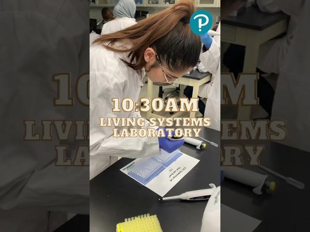A day in the life of a college student in Canada