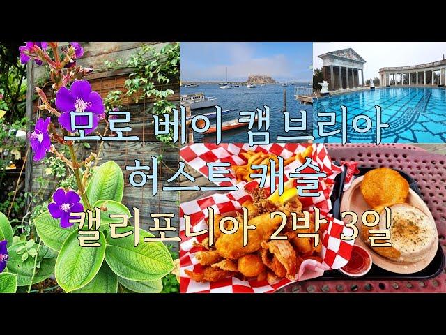 기분 전환을위한 캘리포니아 해안여행 모로 베이 캠브리아 허스트 캐슬  California Coast Getaway (Morro Bay-Cambria-Hearst Castle)