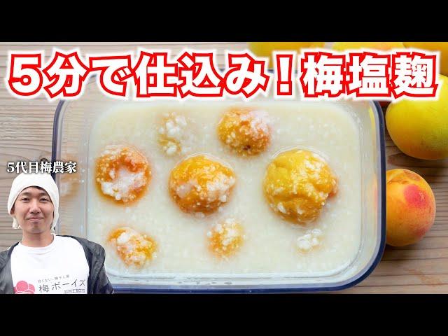 【梅仕事】簡単！万能！完熟梅で梅塩麹を作るコツを教えます