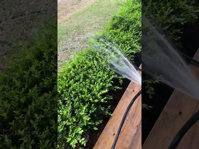 #pressurewashing #badluck #stoutcustom