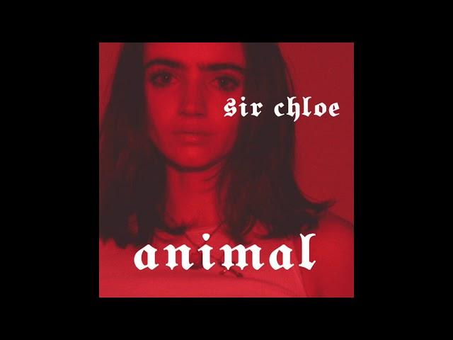 Sir Chloe - Animal