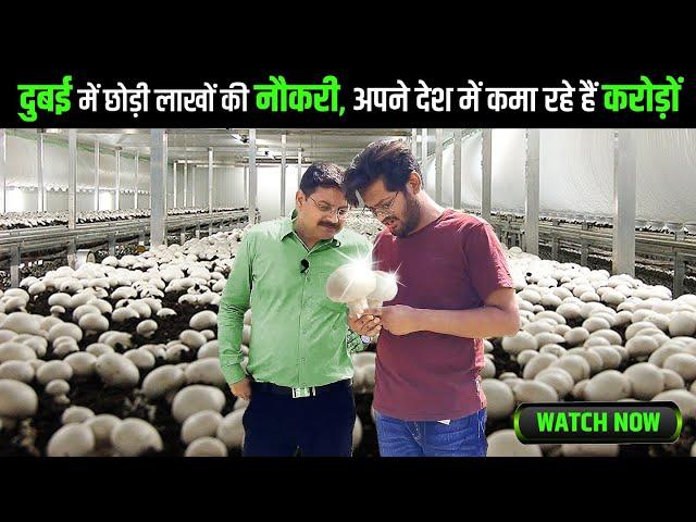 इंजीनियर से सीखो पैसे छापना | Farming is also science | Process of growing fresh mushrooms in India