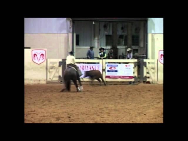 Stock Horse of Texas Judge's Corner: Working Cow Horse Open/Non Pro with Circling