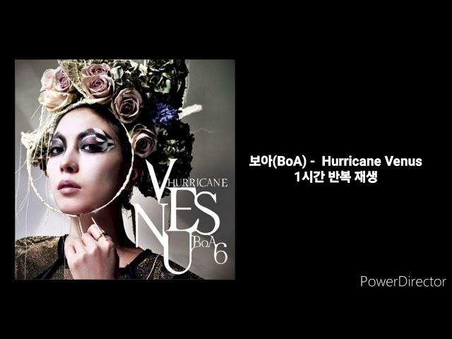 보아(BoA) |  Hurricane Venus. | 1시간 반복 재생