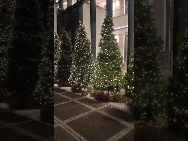 Philippines | Christmas Trees | Bonifacio Global City | Oppa Travels | #oppa #travel | #bgc