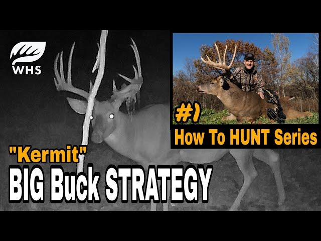 Deer Hunting Strategy and Story for "Kermit"