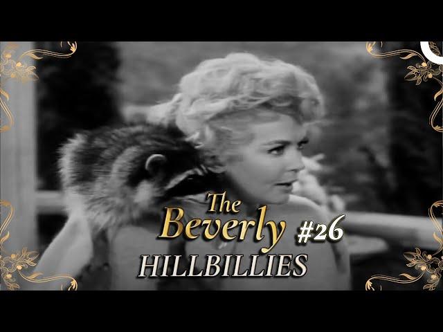 The Beverly Hillbillies - Special Part 26 | Classic Hollywood TV Series