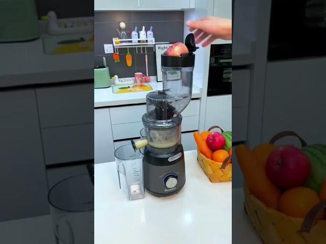 Cold Press Juicer,Slow Juicer