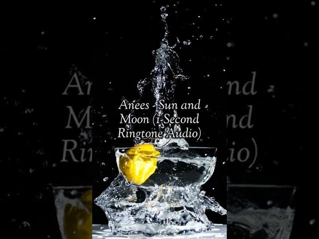 Anees - Star and Moon (1-Second Ringtone Audio) (412) (V1.5.1)