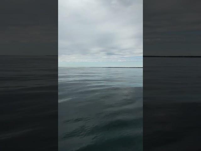 Let Ye Lay in the Sea