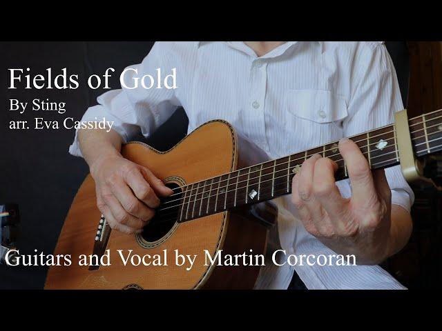 Fields of  Gold Guitar promo