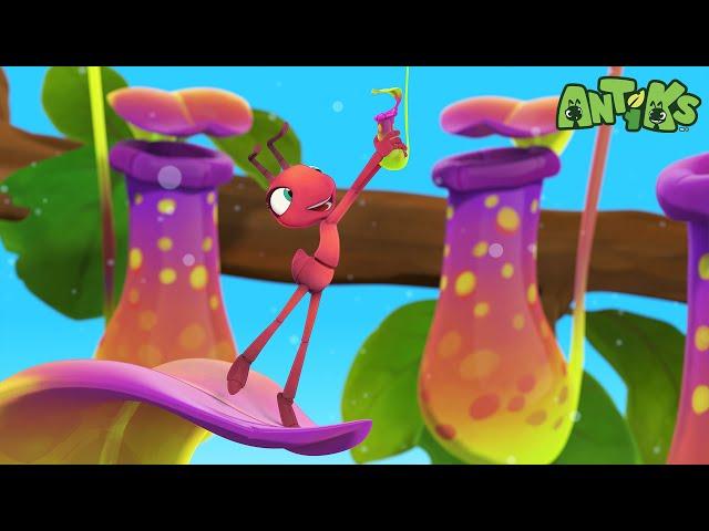 Mystery Mix | Antiks  | Funny Cartoons for Kids