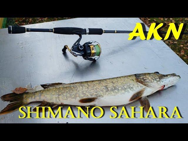 Shimano Sahara