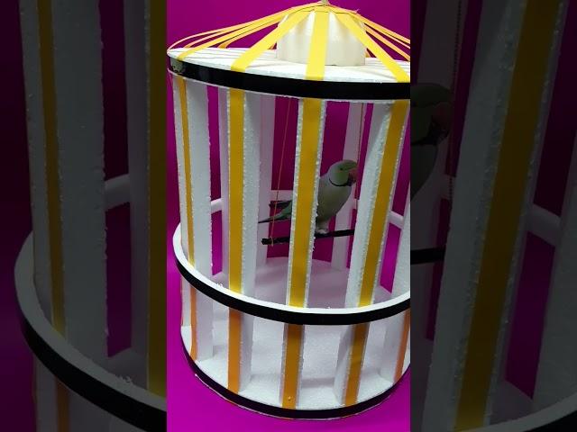 cage model for school project #trending #new #trendingvideo