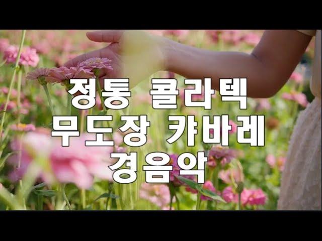 정통 콜라텍 무도장 캬바레 경음악  #전자올겐 #캬바레 #무도장 #콜라텍