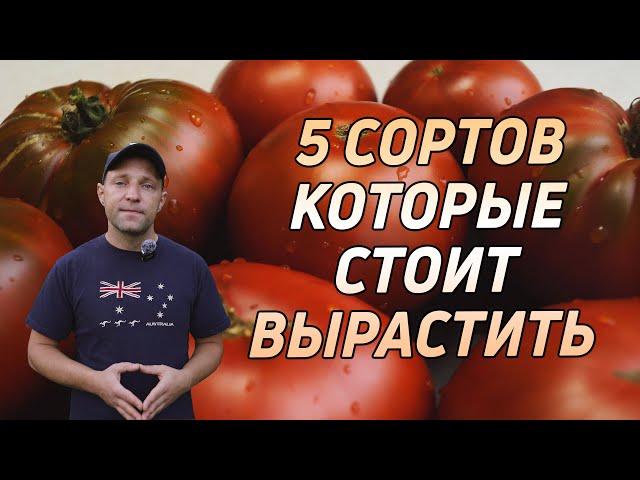 ТОМАТЫ, 5 СОРТОВ КОТОРЫЕ СТОИТ ПОПРОБОВАТЬ!