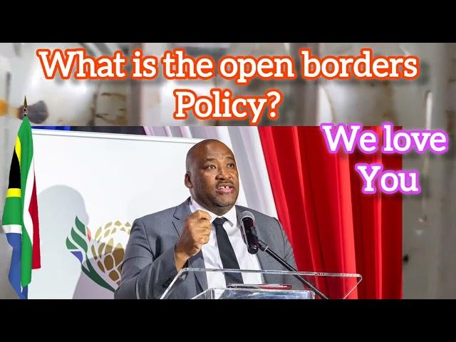 This is the truth about foreigners in South Africa -Gayton Mckenzie