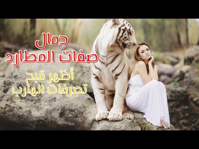 ️جمال المطارد ️اظهر قبح تصرفات الهارب #توأم_الشعلة #Twin_flame