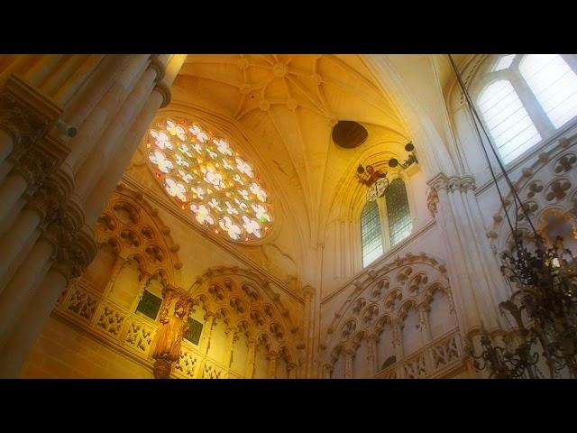 大聖堂の鐘の音　The sound of the bells of the Cathedral #鐘の音 #大聖堂 #bells #sound #cathedral