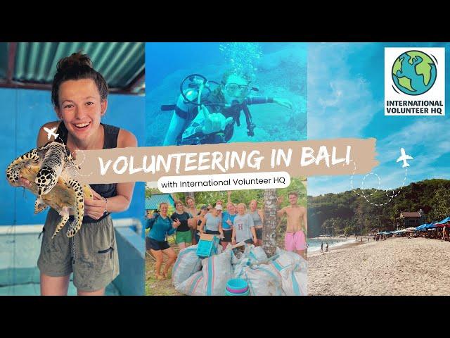 VOLUNTEERING IN BALI - the BEST decision of my life // sea turtle conservation with IVHQ pt 1