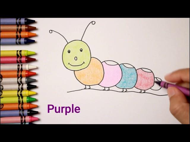 Learn Colors for Kids Drawing and Coloring Crayon Flower Caterpillar and Butterfly