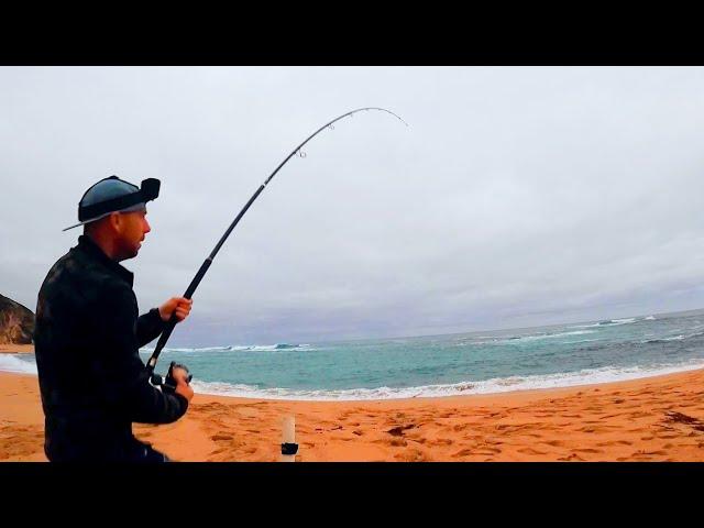 South Coast Beach Fishing 4.0