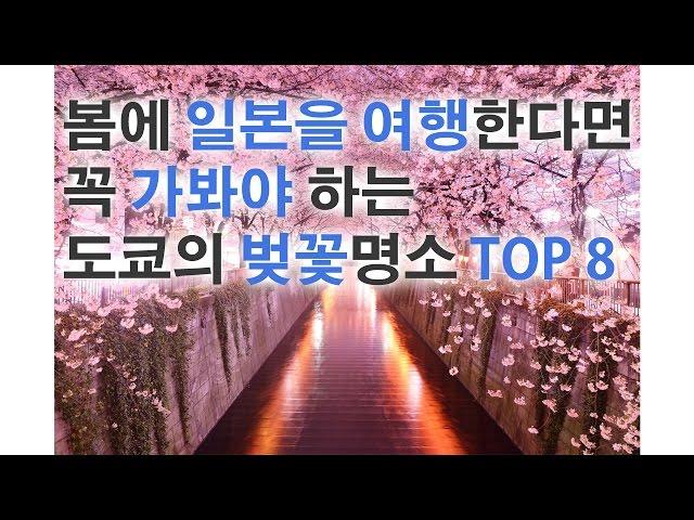 봄에 일본을 여행한다면 꼭 가봐야 하는 도쿄의 벚꽃명소 TOP 8