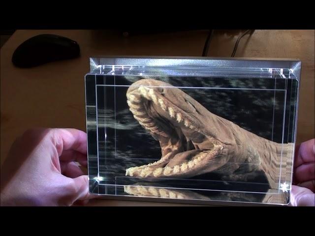 Looking Glass Holographic Display: Convert 2D photos into 3D Holograms