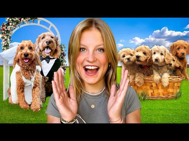 Our Dog got Married and had PUPPIES! THE MOVIE *Emotional*