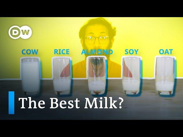 What's the most climate-friendly milk?