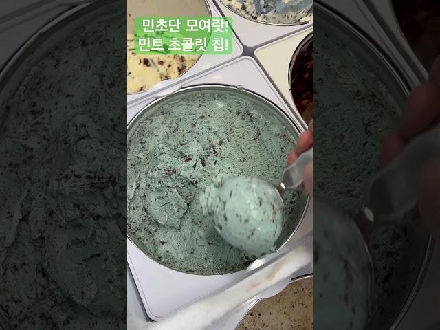 배스킨라빈스 민트 초콜릿 칩! 민초단 모여!