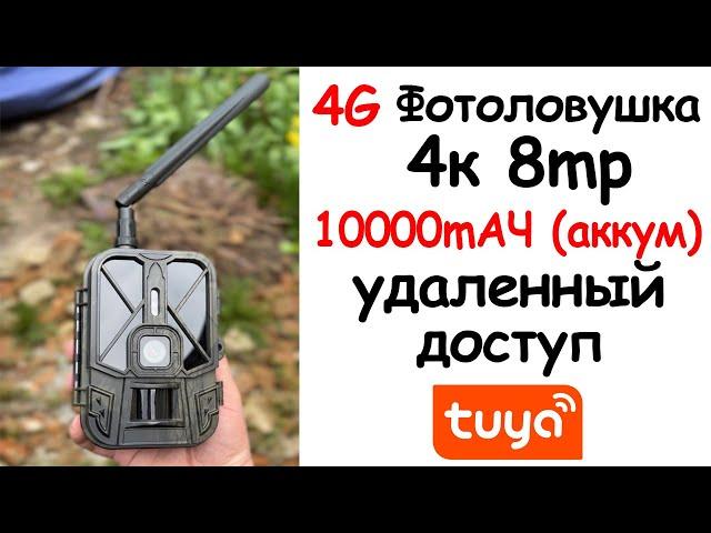 4G Фотоловушка КАМЕРА-НЕВИДИМКА 8mp 4K АВТОНОМНАЯ С УДАЛЕННЫМ ОТСЛЕЖИВАНИЕМ