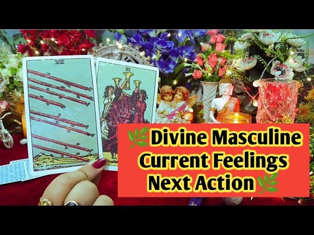 Divine Masculine Current Feelings Next Action️Timeless Tarot Reading In Hindi 