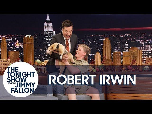 Jimmy Gets Attacked by Robert Irwin's Anteater