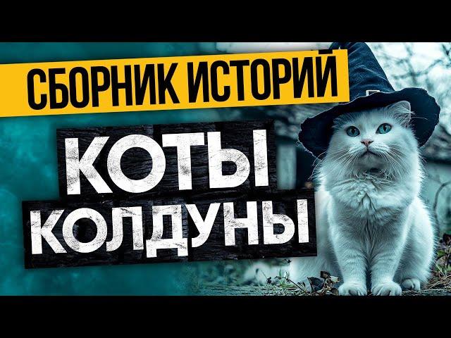 Необъяснимые Мистические Истории На Ночь От Альбины Нури. Страшные Истории, Ужасы И Мистика