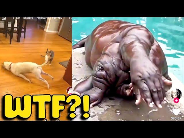 The WEIRDEST Creature CAUGHT ON CAMERA!