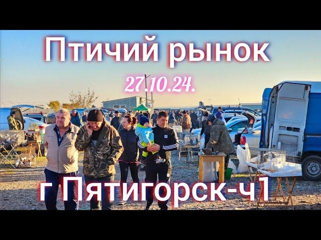 Голуби цены Птичий рынок г Пятигорск-ч1