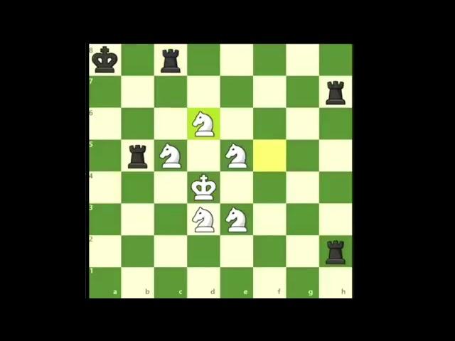 Rook vs Knight #chess #chessstrategy #chessgame #chessplay #checkmate #video #videos
