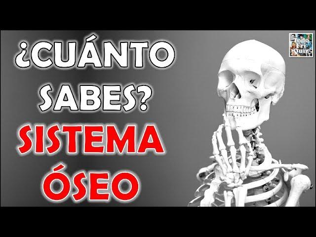 ¿Cuánto Sabes Sobre el "SISTEMA ÓSEO"? Test/Trivial/Quiz