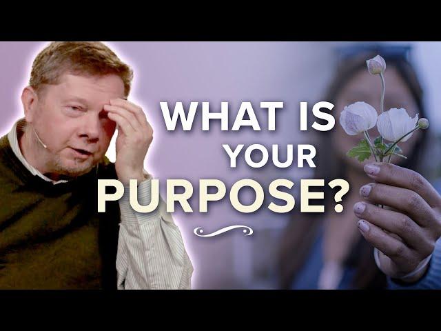 What Is the Main Purpose in Life? | Eckhart Tolle