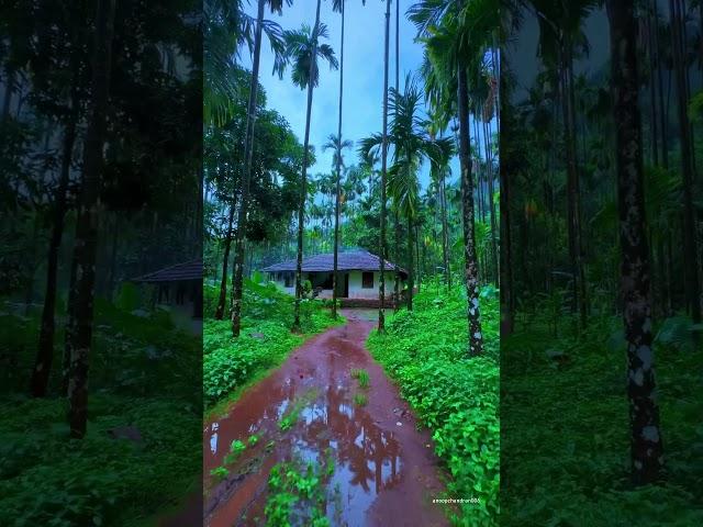 Houses in Kerala villages #villagelife #house #vintage