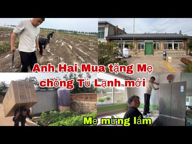 #493Anh Hai Mua Tặng Mẹ Chồng Tủ Lạnh Mới,Mẹ mừng Lắm,đưa Mẹ đi lấy thuốc về mót khoai lang